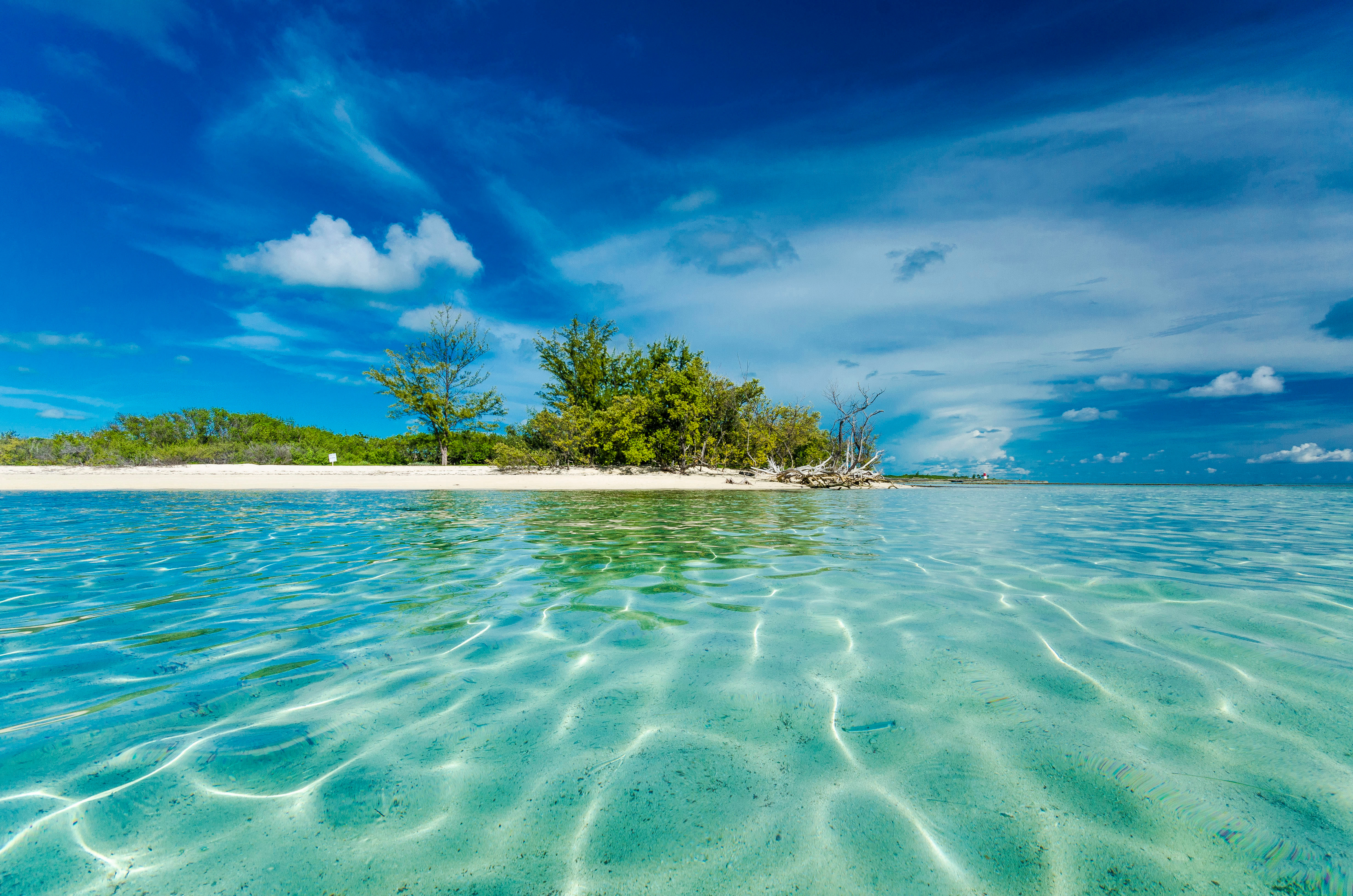 Bimini