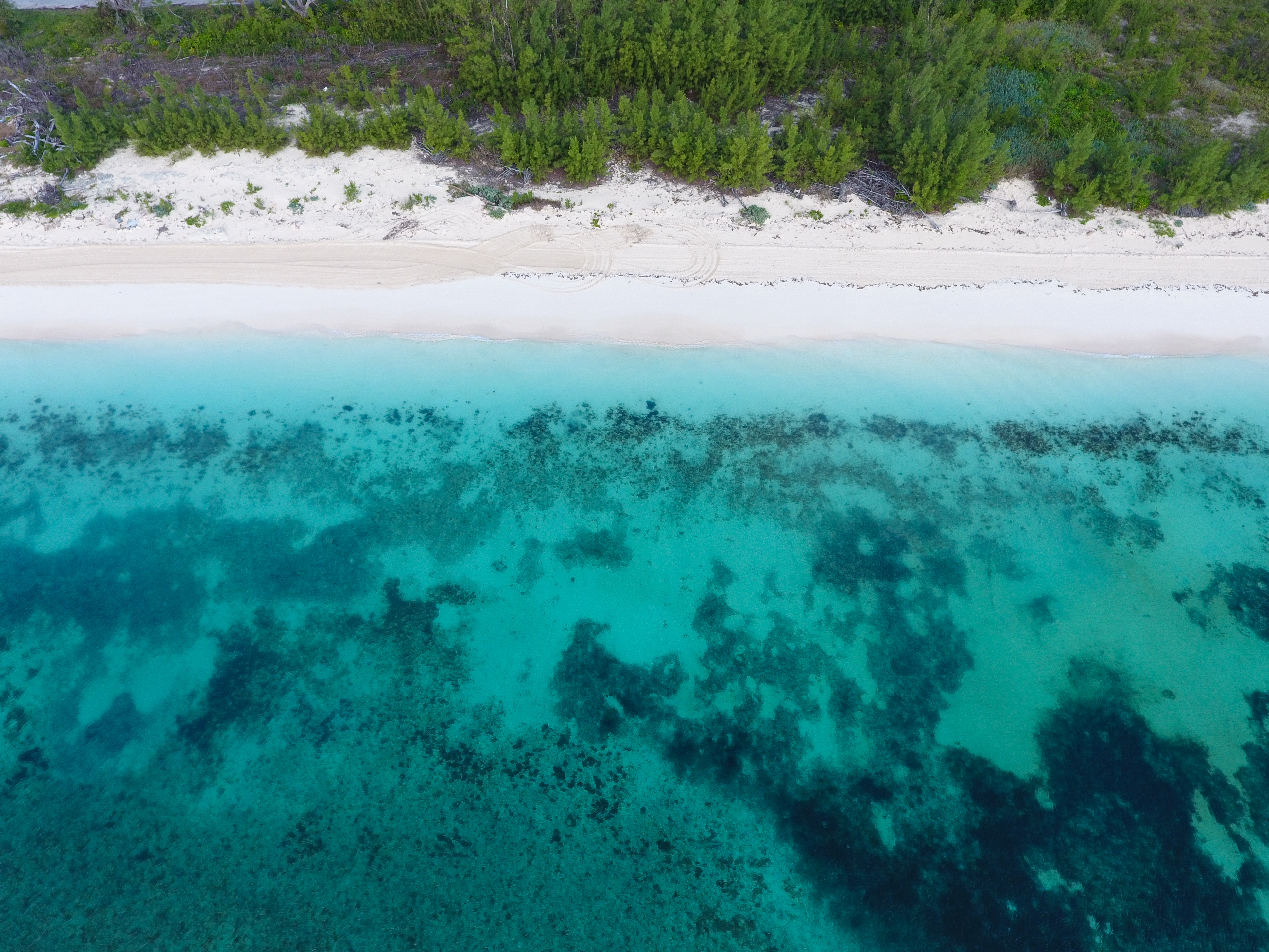 Grand Bahama